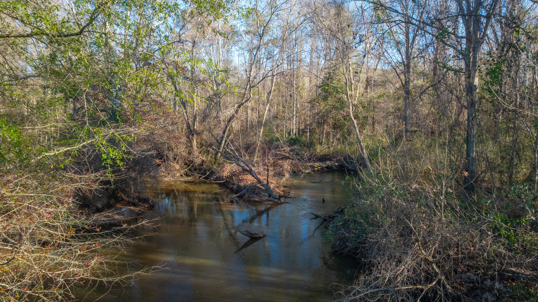 Image for 167± Total Acres - Cole Tract North - Beautiful Recreational Farm - Planted Pines & Premium Hunting - Lanahassee Creek Frontage