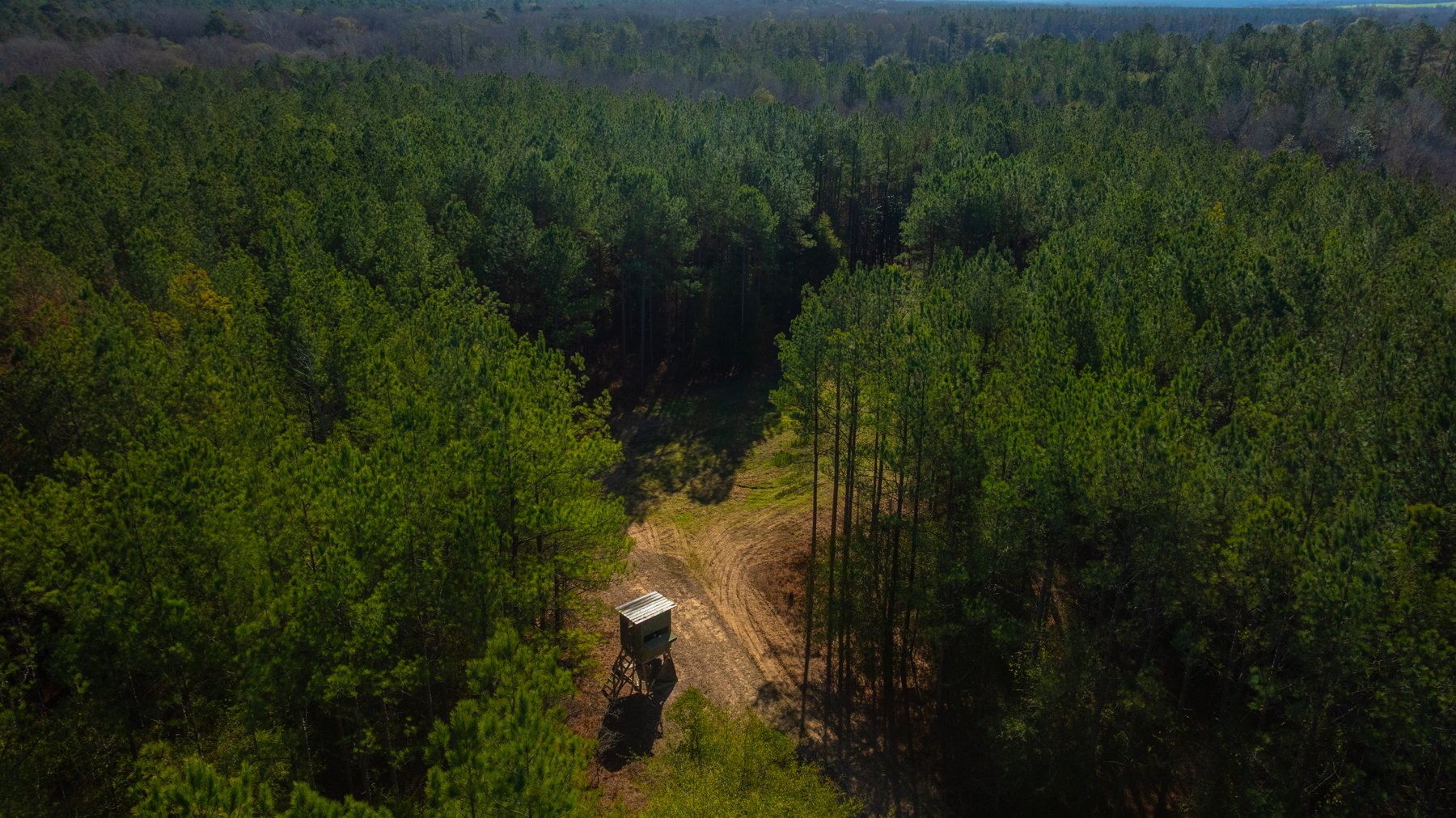 Image for 167± Total Acres - Cole Tract North - Beautiful Recreational Farm - Planted Pines & Premium Hunting - Lanahassee Creek Frontage