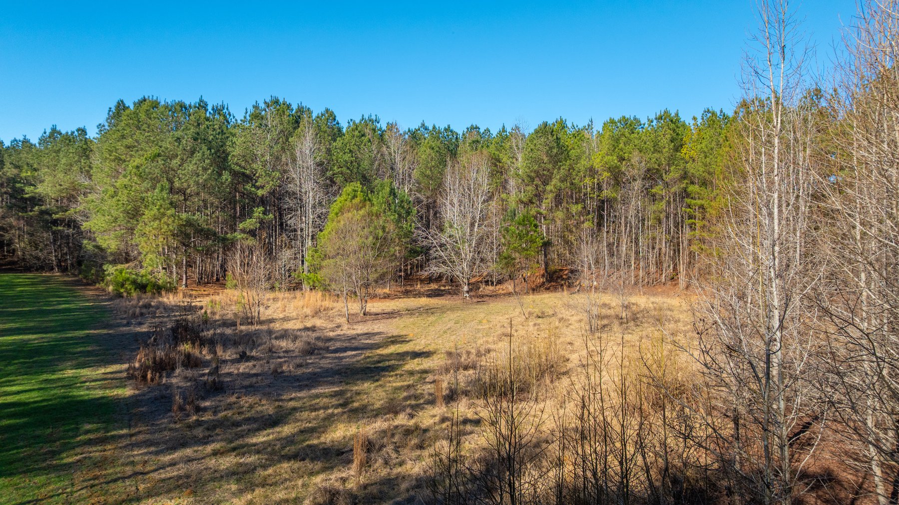 Image for 167± Total Acres - Cole Tract North - Beautiful Recreational Farm - Planted Pines & Premium Hunting - Lanahassee Creek Frontage