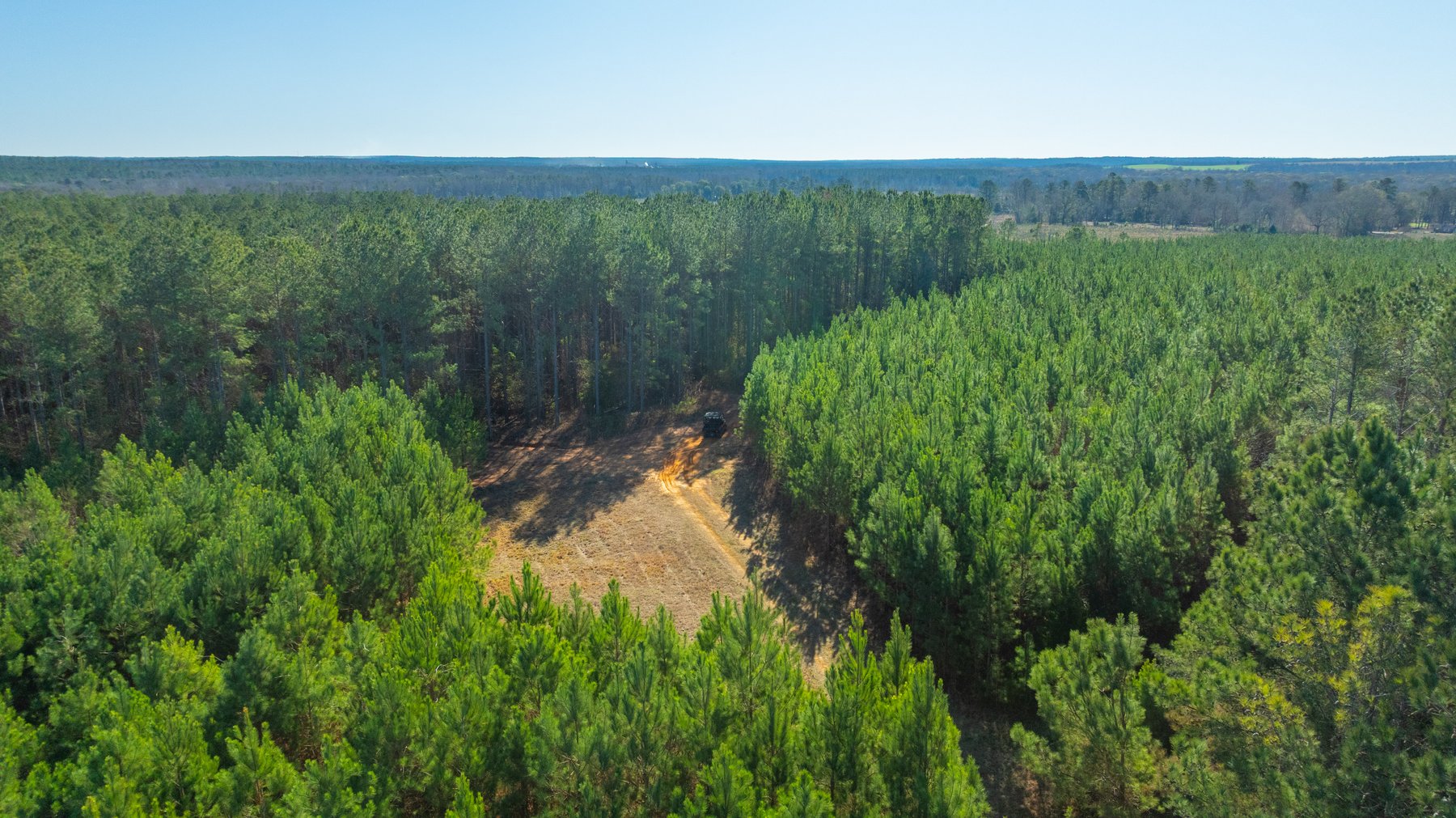 Image for 167± Total Acres - Cole Tract North - Beautiful Recreational Farm - Planted Pines & Premium Hunting - Lanahassee Creek Frontage