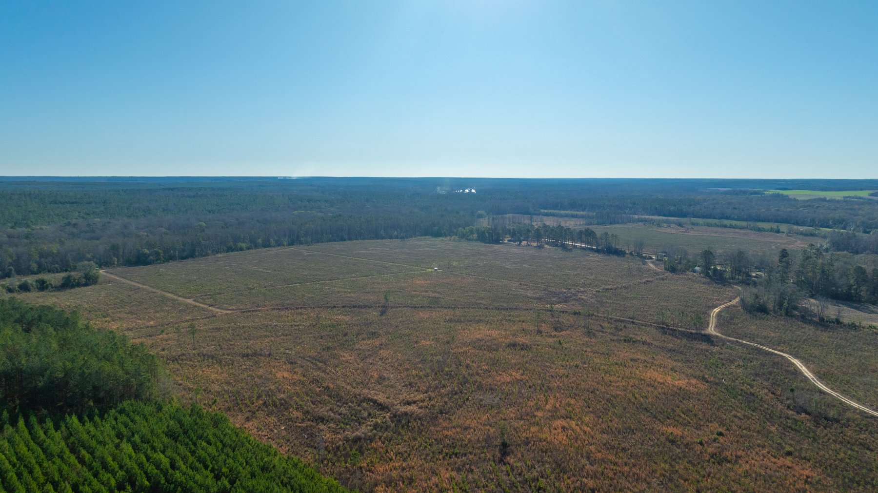Image for 167± Total Acres - Cole Tract North - Beautiful Recreational Farm - Planted Pines & Premium Hunting - Lanahassee Creek Frontage