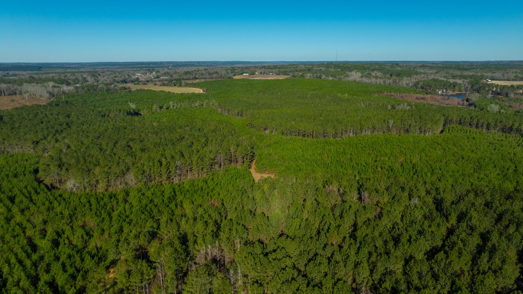 Image for 167± Total Acres - Cole Tract North - Beautiful Recreational Farm - Planted Pines & Premium Hunting - Lanahassee Creek Frontage