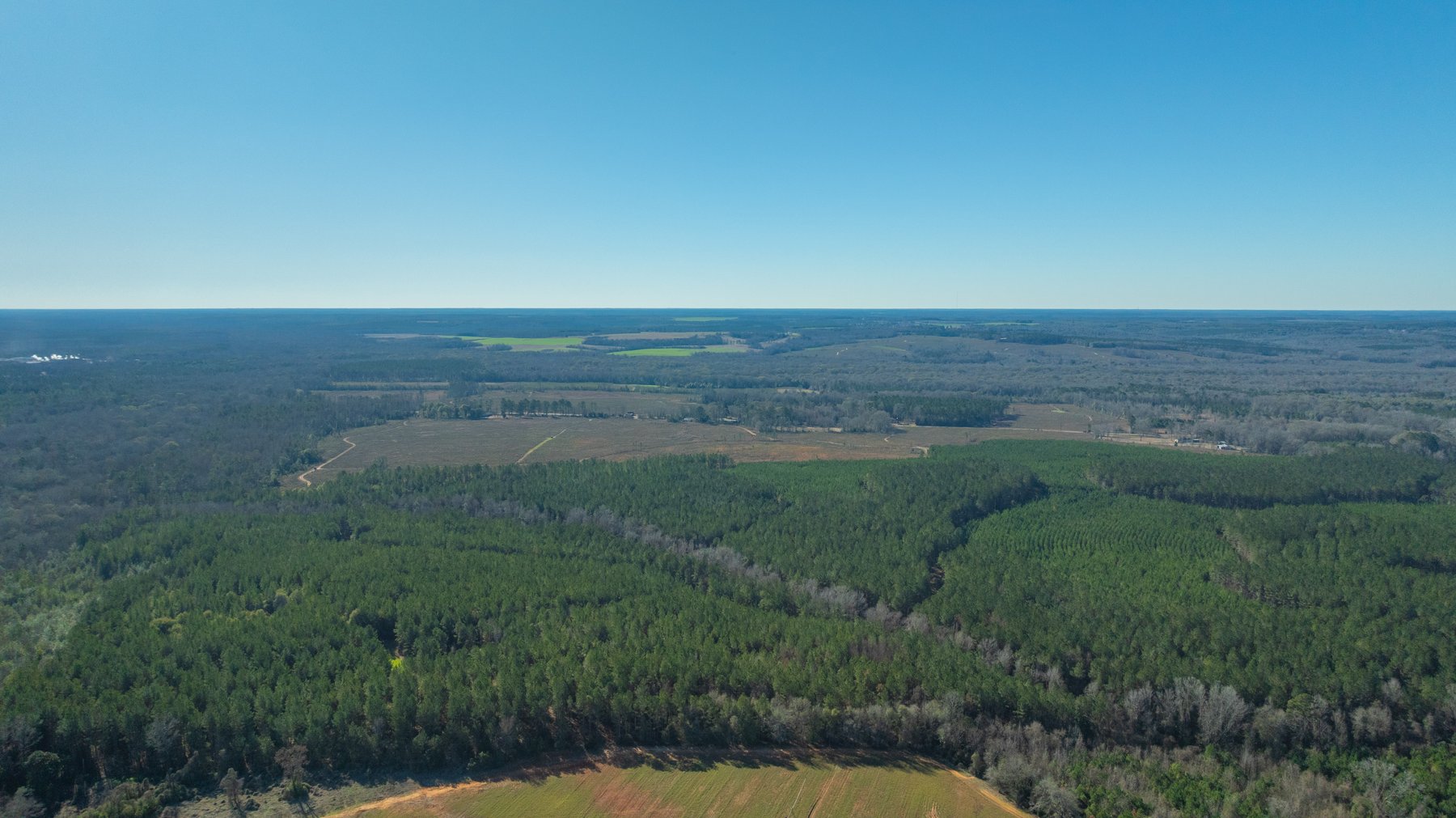 Image for 167± Total Acres - Cole Tract North - Beautiful Recreational Farm - Planted Pines & Premium Hunting - Lanahassee Creek Frontage