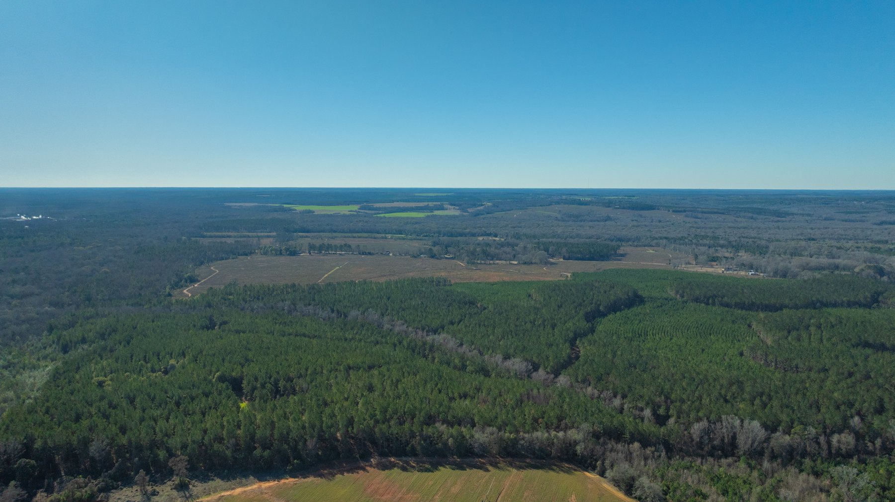 Image for 167± Total Acres - Cole Tract North - Beautiful Recreational Farm - Planted Pines & Premium Hunting - Lanahassee Creek Frontage