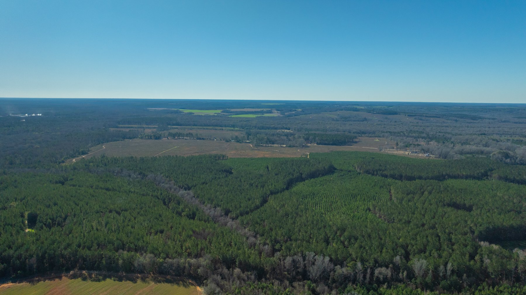 Image for 167± Total Acres - Cole Tract North - Beautiful Recreational Farm - Planted Pines & Premium Hunting - Lanahassee Creek Frontage