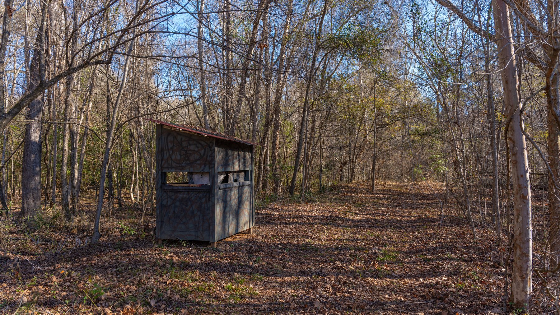 Image for 167± Total Acres - Cole Tract North - Beautiful Recreational Farm - Planted Pines & Premium Hunting - Lanahassee Creek Frontage