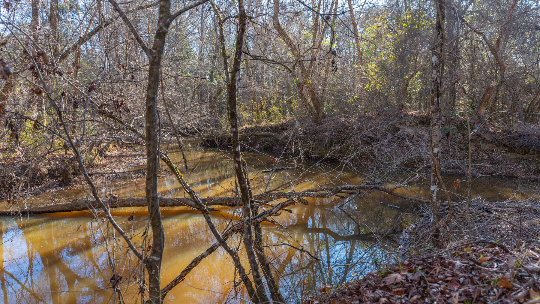 Image for 167± Total Acres - Cole Tract North - Beautiful Recreational Farm - Planted Pines & Premium Hunting - Lanahassee Creek Frontage