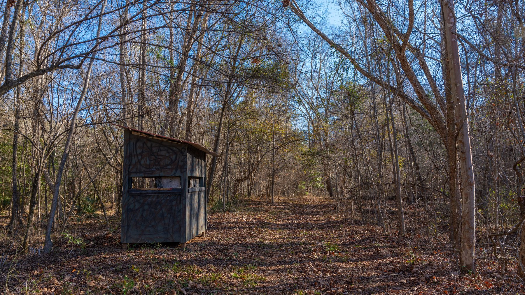 Image for 167± Total Acres - Cole Tract North - Beautiful Recreational Farm - Planted Pines & Premium Hunting - Lanahassee Creek Frontage
