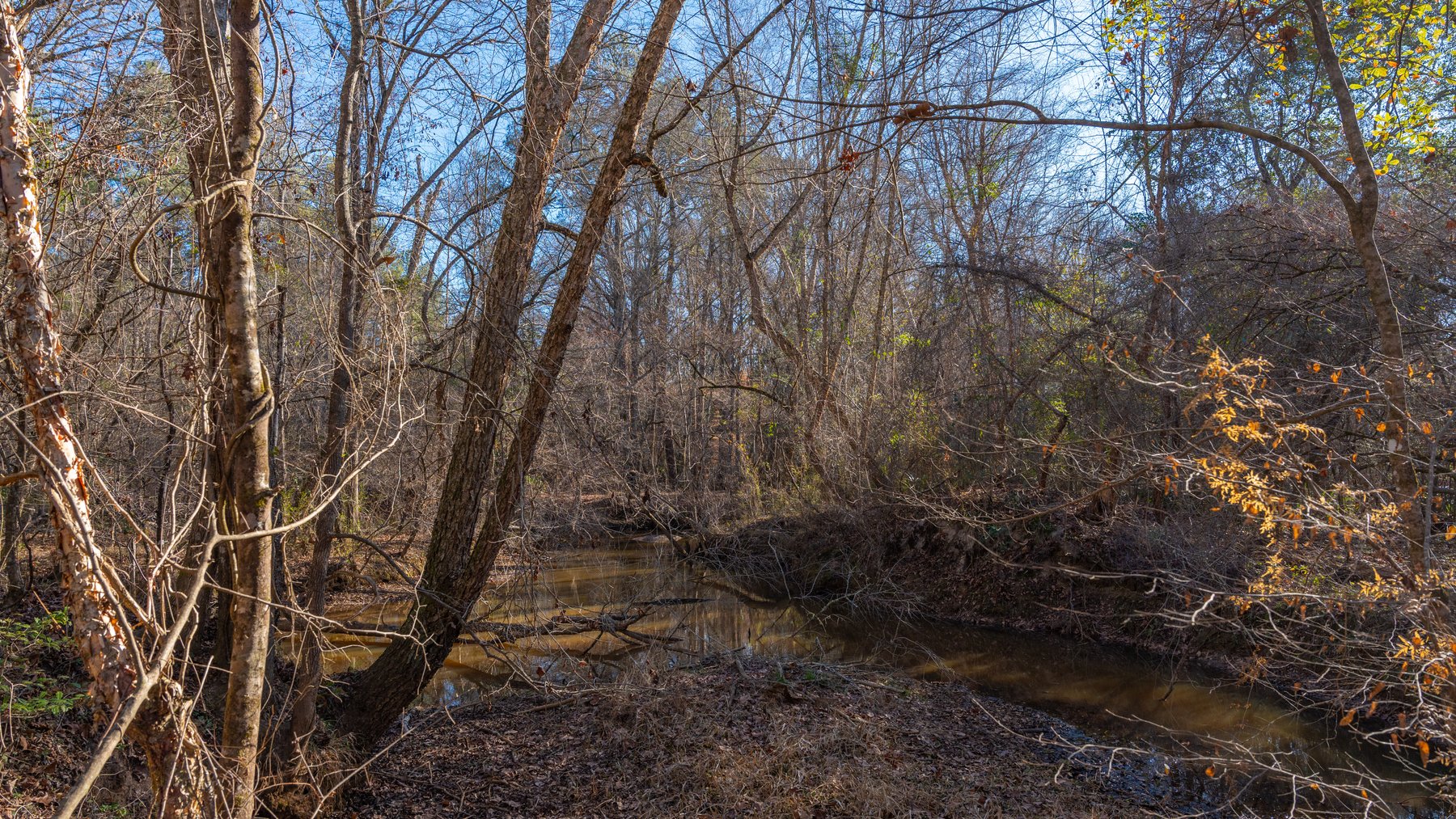 Image for 167± Total Acres - Cole Tract North - Beautiful Recreational Farm - Planted Pines & Premium Hunting - Lanahassee Creek Frontage
