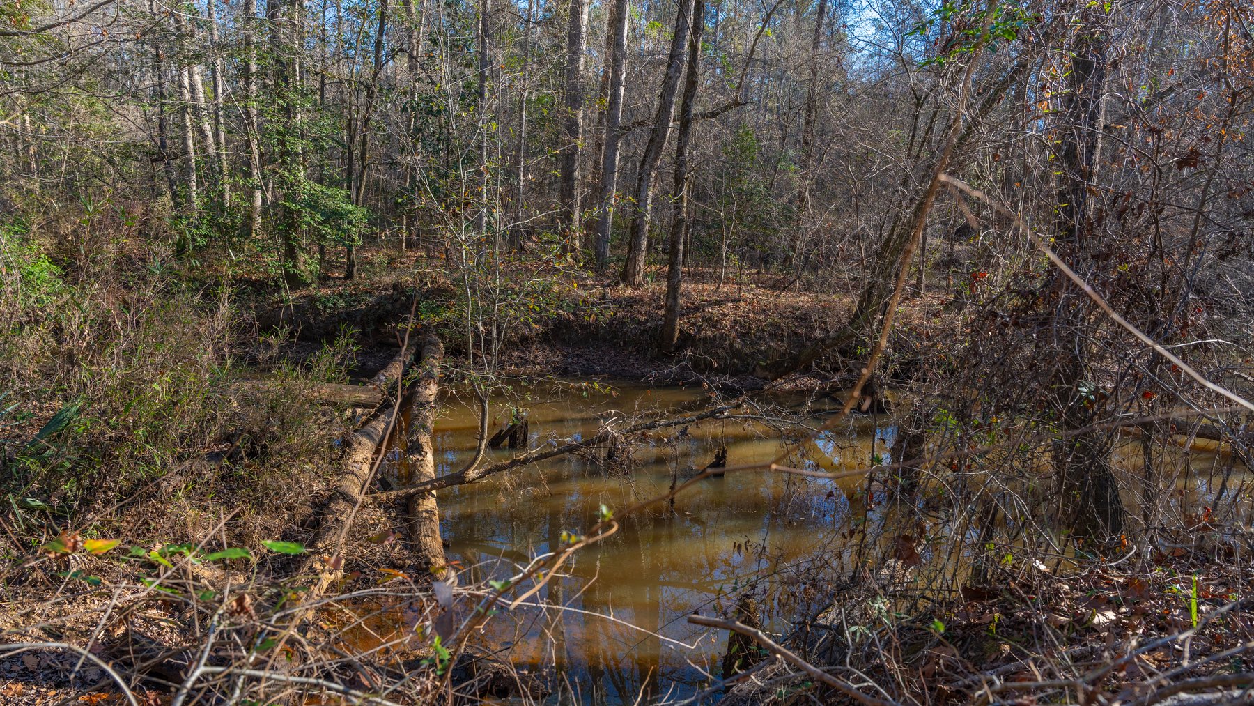 Image for 167± Total Acres - Cole Tract North - Beautiful Recreational Farm - Planted Pines & Premium Hunting - Lanahassee Creek Frontage