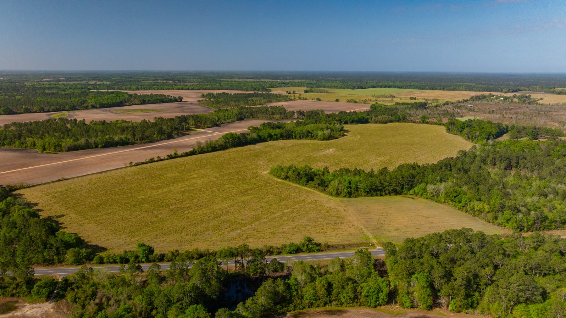 Image for Reynolds Tract - Tison Estate - 92.37± Total Acres - Premium Row Crop Farmland - Mixed Hardwoods - Located in Big Buck Country