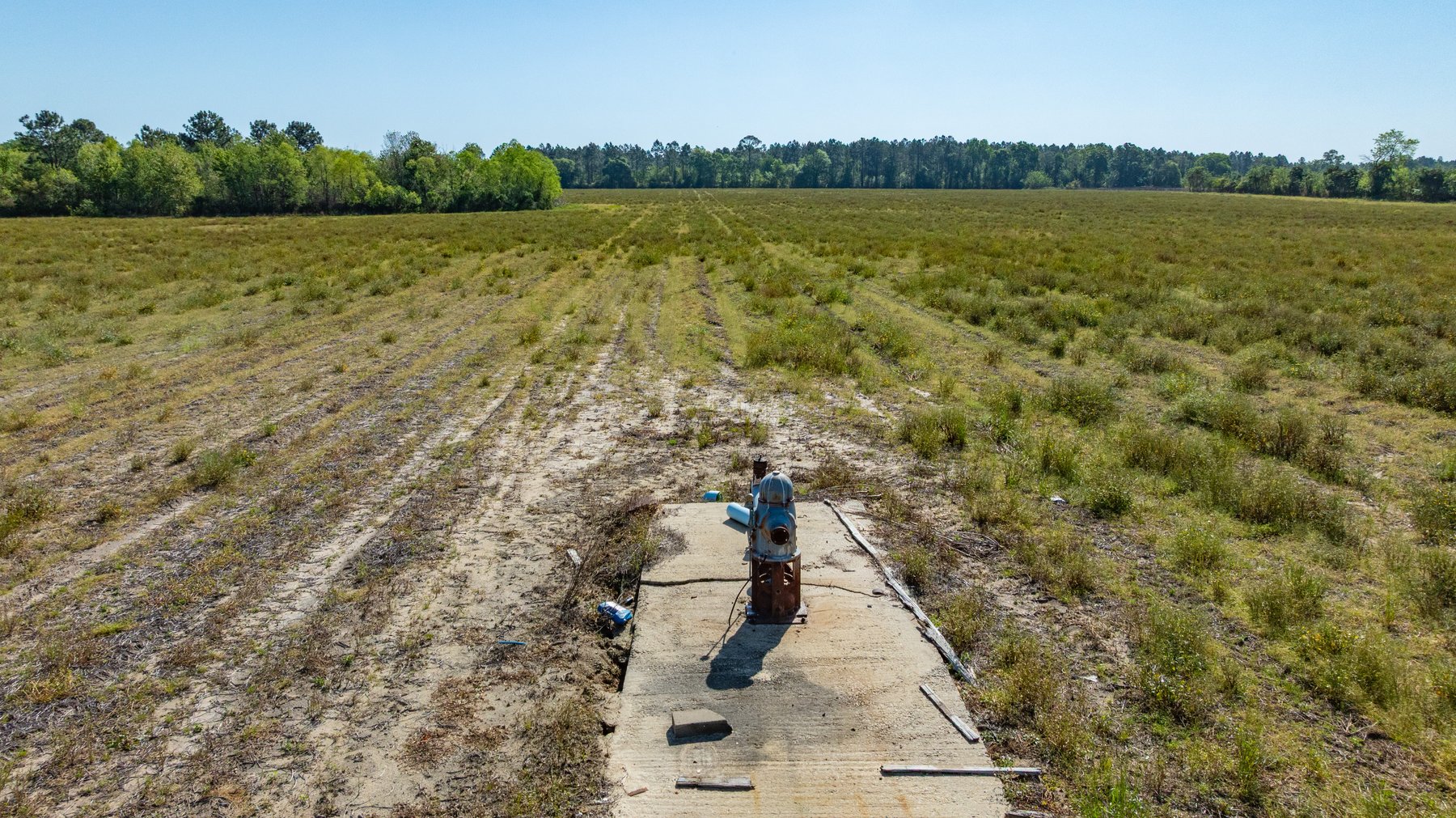 Image for Reynolds Tract - Tison Estate - 92.37± Total Acres - Premium Row Crop Farmland - Mixed Hardwoods - Located in Big Buck Country