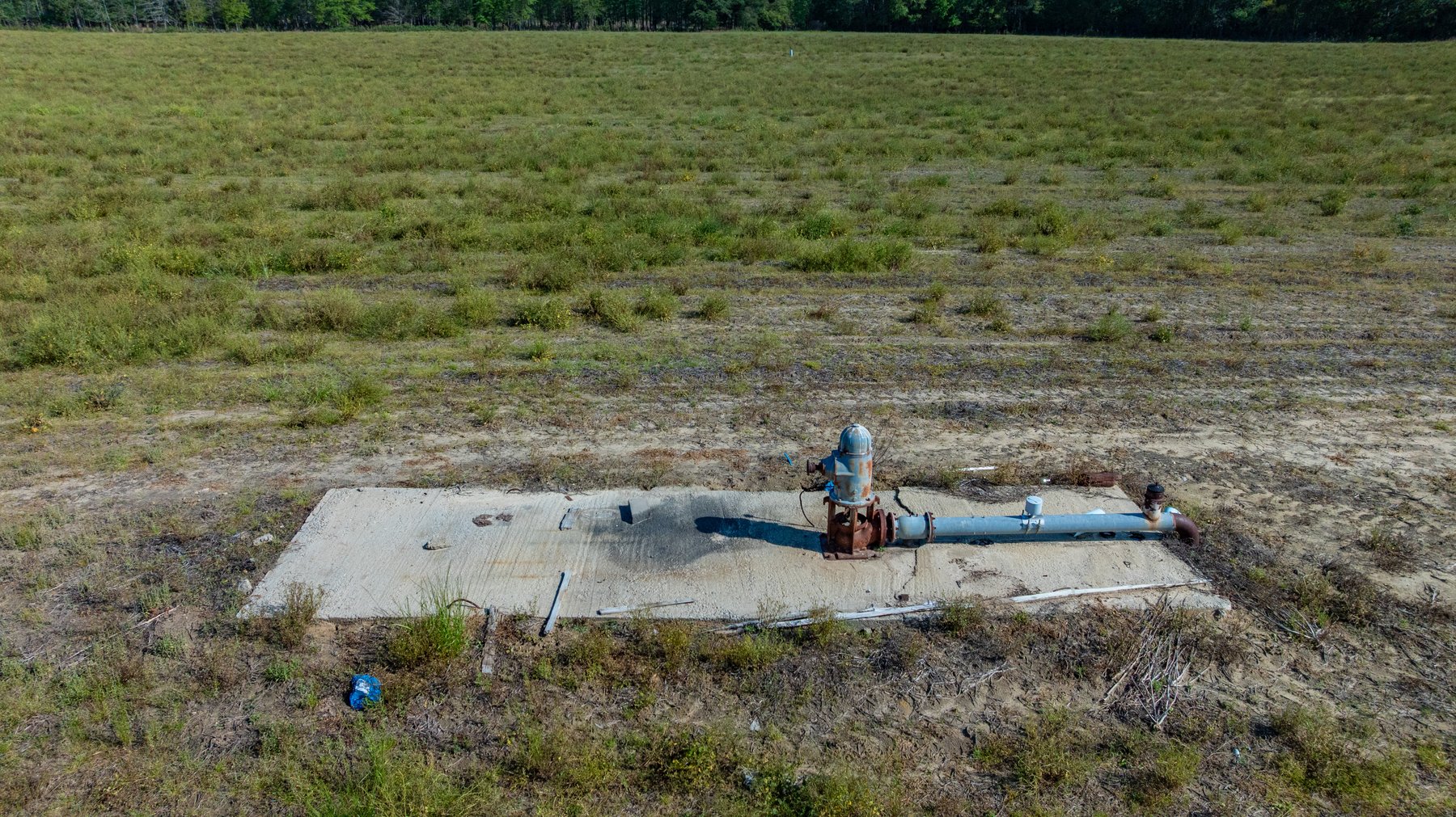 Image for Reynolds Tract - Tison Estate - 92.37± Total Acres - Premium Row Crop Farmland - Mixed Hardwoods - Located in Big Buck Country