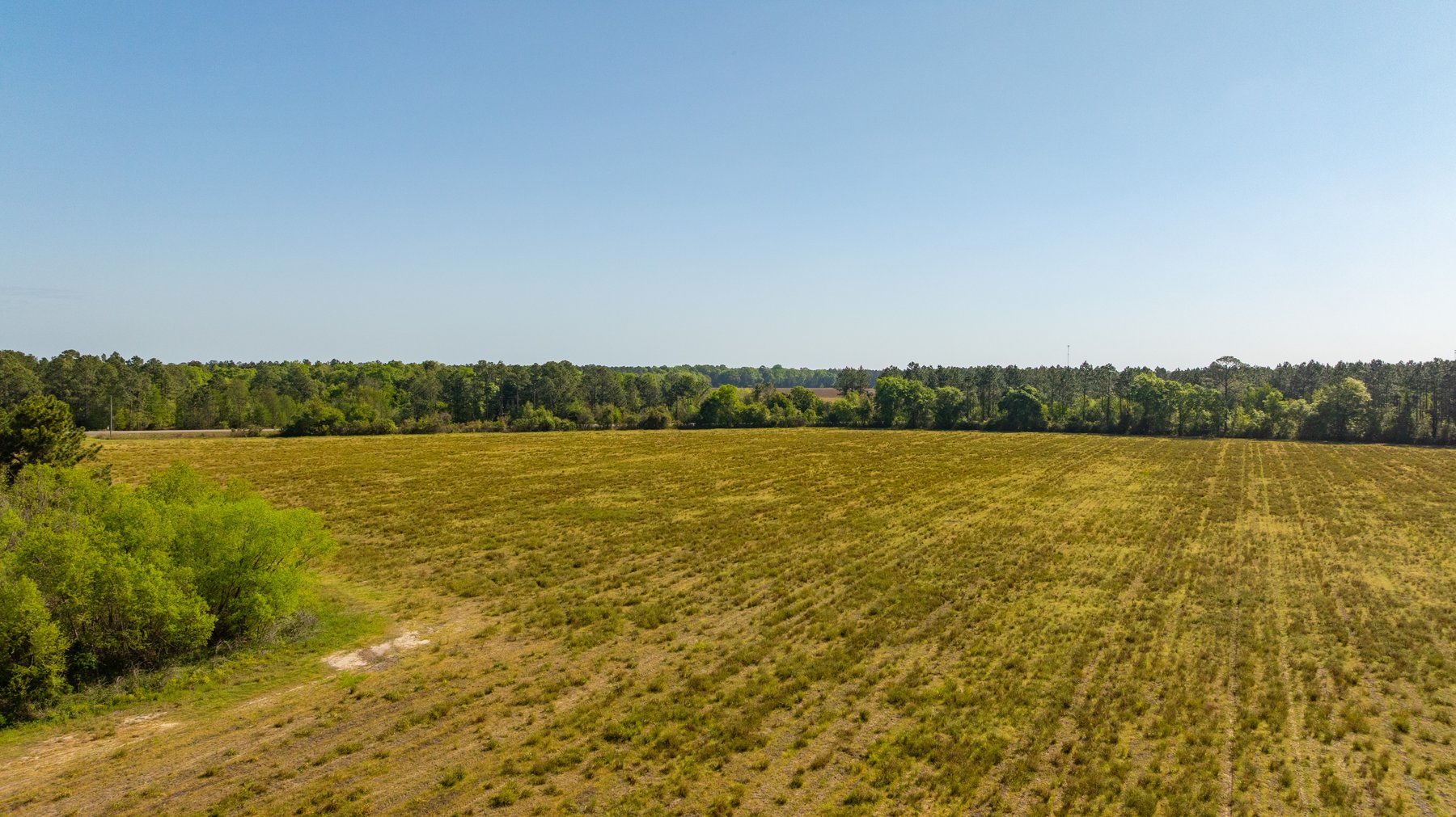 Image for Reynolds Tract - Tison Estate - 92.37± Total Acres - Premium Row Crop Farmland - Mixed Hardwoods - Located in Big Buck Country