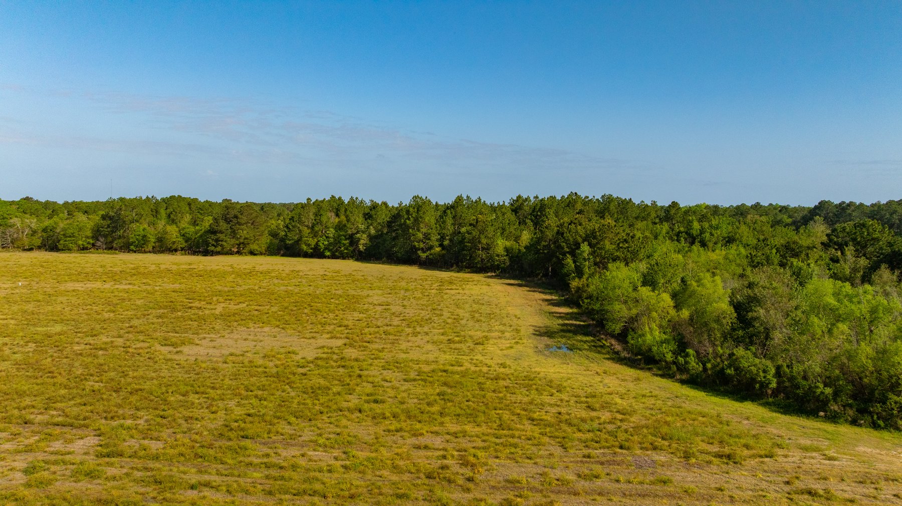 Image for Reynolds Tract - Tison Estate - 92.37± Total Acres - Premium Row Crop Farmland - Mixed Hardwoods - Located in Big Buck Country