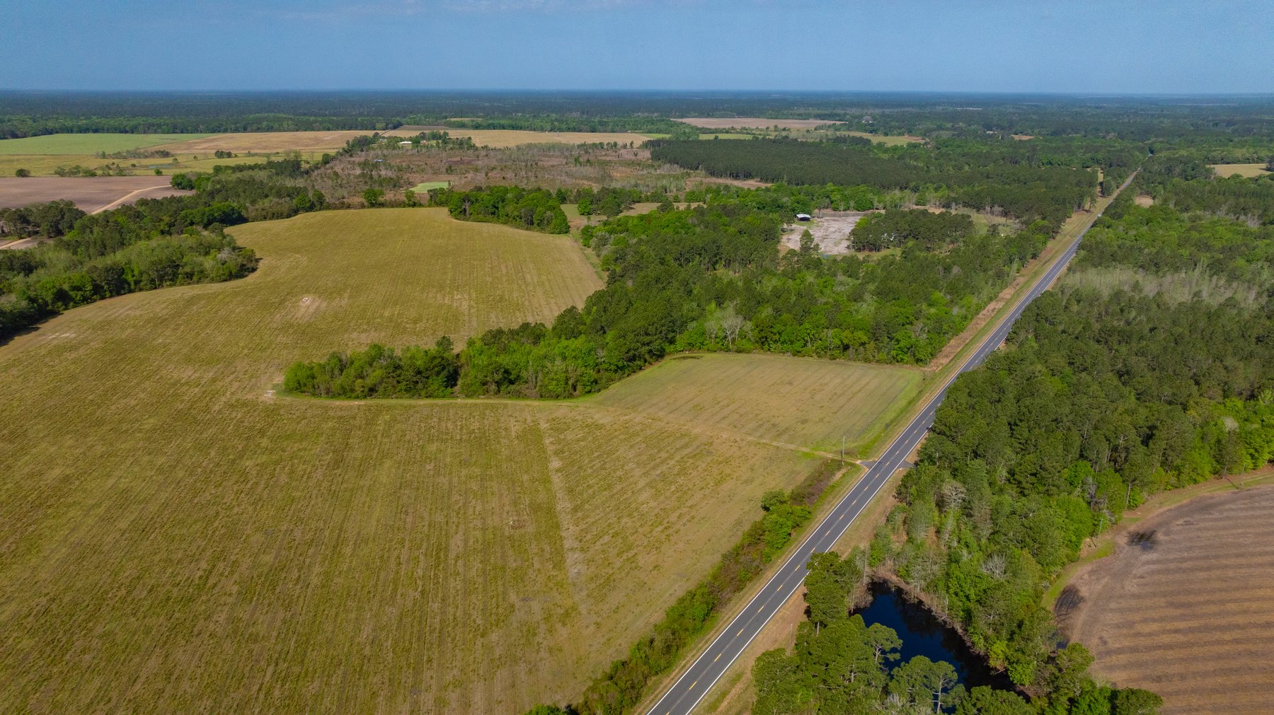 Image for Reynolds Tract - Tison Estate - 92.37± Total Acres - Premium Row Crop Farmland - Mixed Hardwoods - Located in Big Buck Country