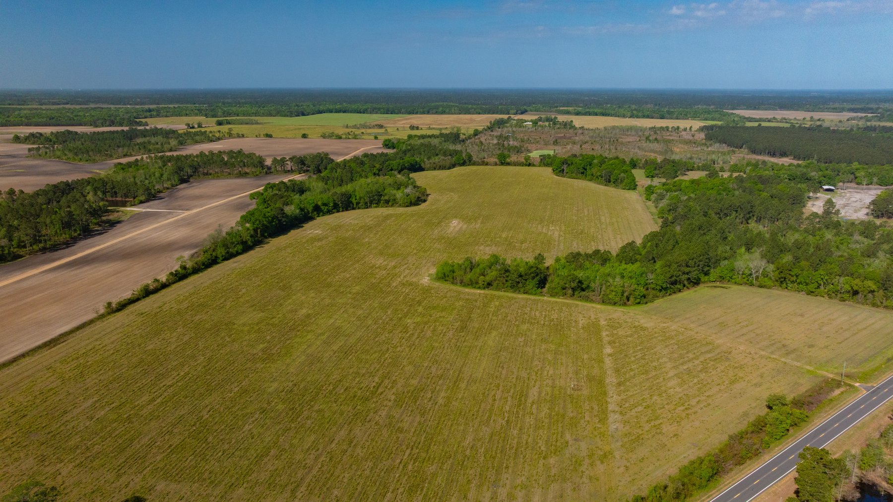 Image for Reynolds Tract - Tison Estate - 92.37± Total Acres - Premium Row Crop Farmland - Mixed Hardwoods - Located in Big Buck Country