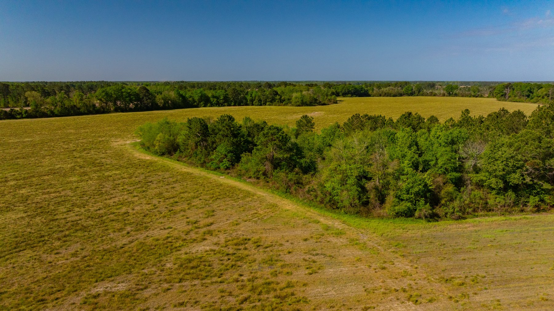 Image for Reynolds Tract - Tison Estate - 92.37± Total Acres - Premium Row Crop Farmland - Mixed Hardwoods - Located in Big Buck Country