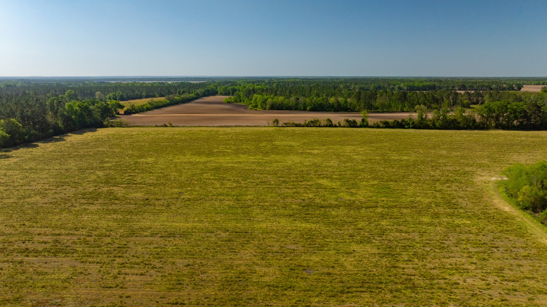 Image for Reynolds Tract - Tison Estate - 92.37± Total Acres - Premium Row Crop Farmland - Mixed Hardwoods - Located in Big Buck Country