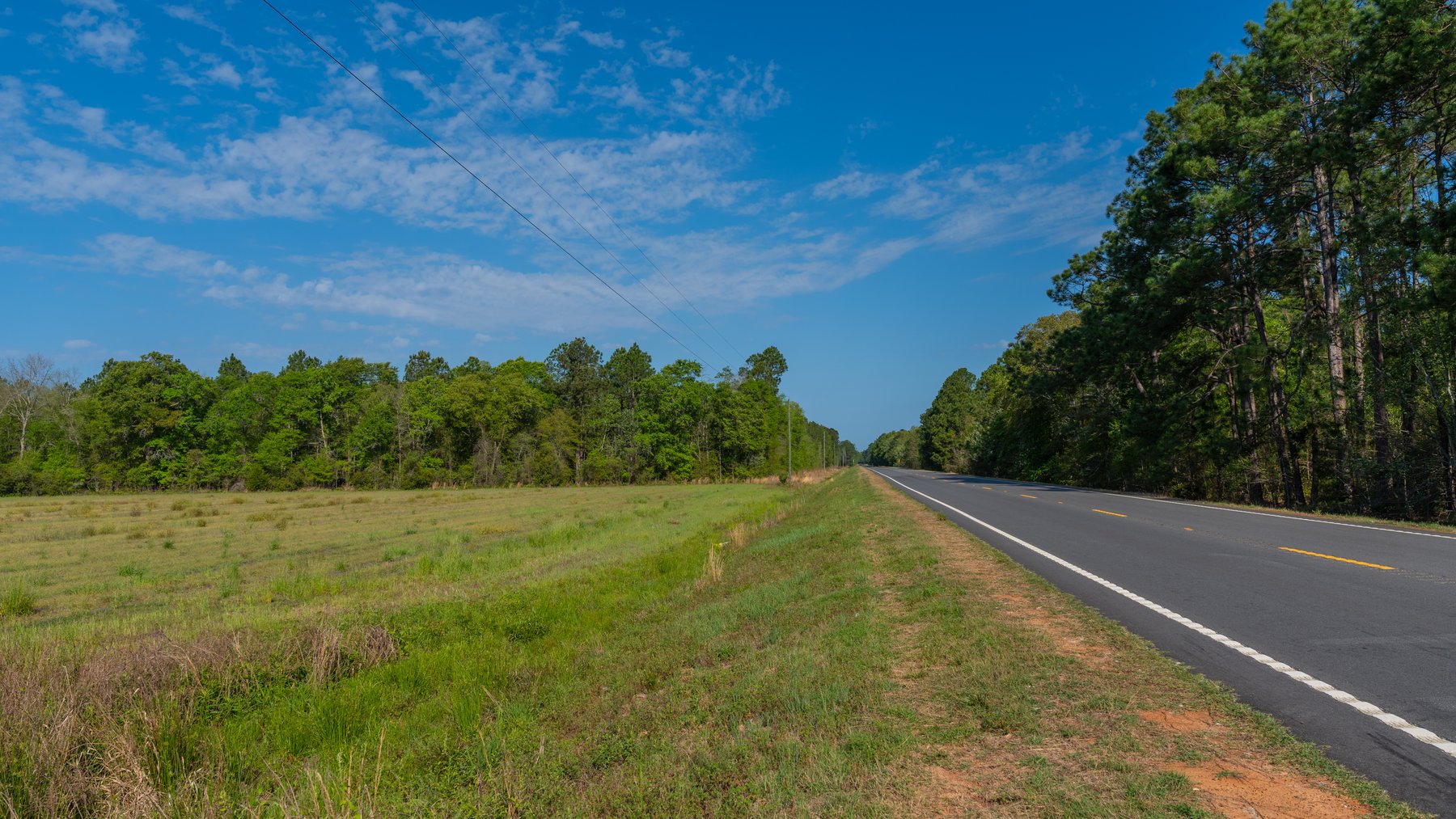 Image for Reynolds Tract - Tison Estate - 92.37± Total Acres - Premium Row Crop Farmland - Mixed Hardwoods - Located in Big Buck Country