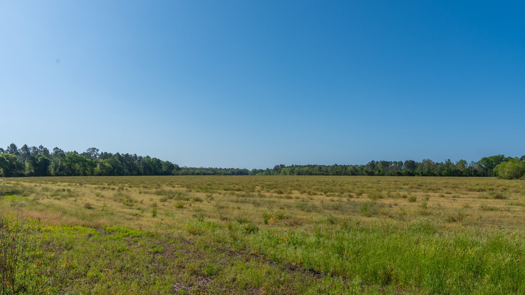 Image for Reynolds Tract - Tison Estate - 92.37± Total Acres - Premium Row Crop Farmland - Mixed Hardwoods - Located in Big Buck Country