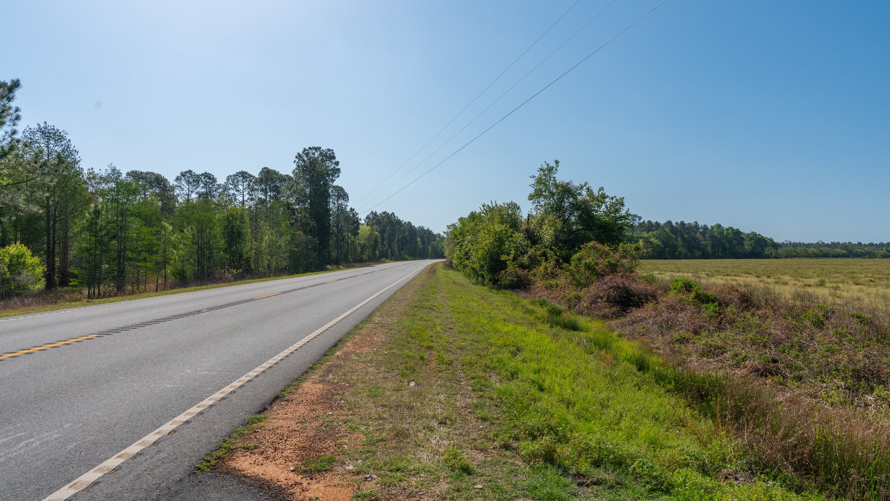 Image for Reynolds Tract - Tison Estate - 92.37± Total Acres - Premium Row Crop Farmland - Mixed Hardwoods - Located in Big Buck Country