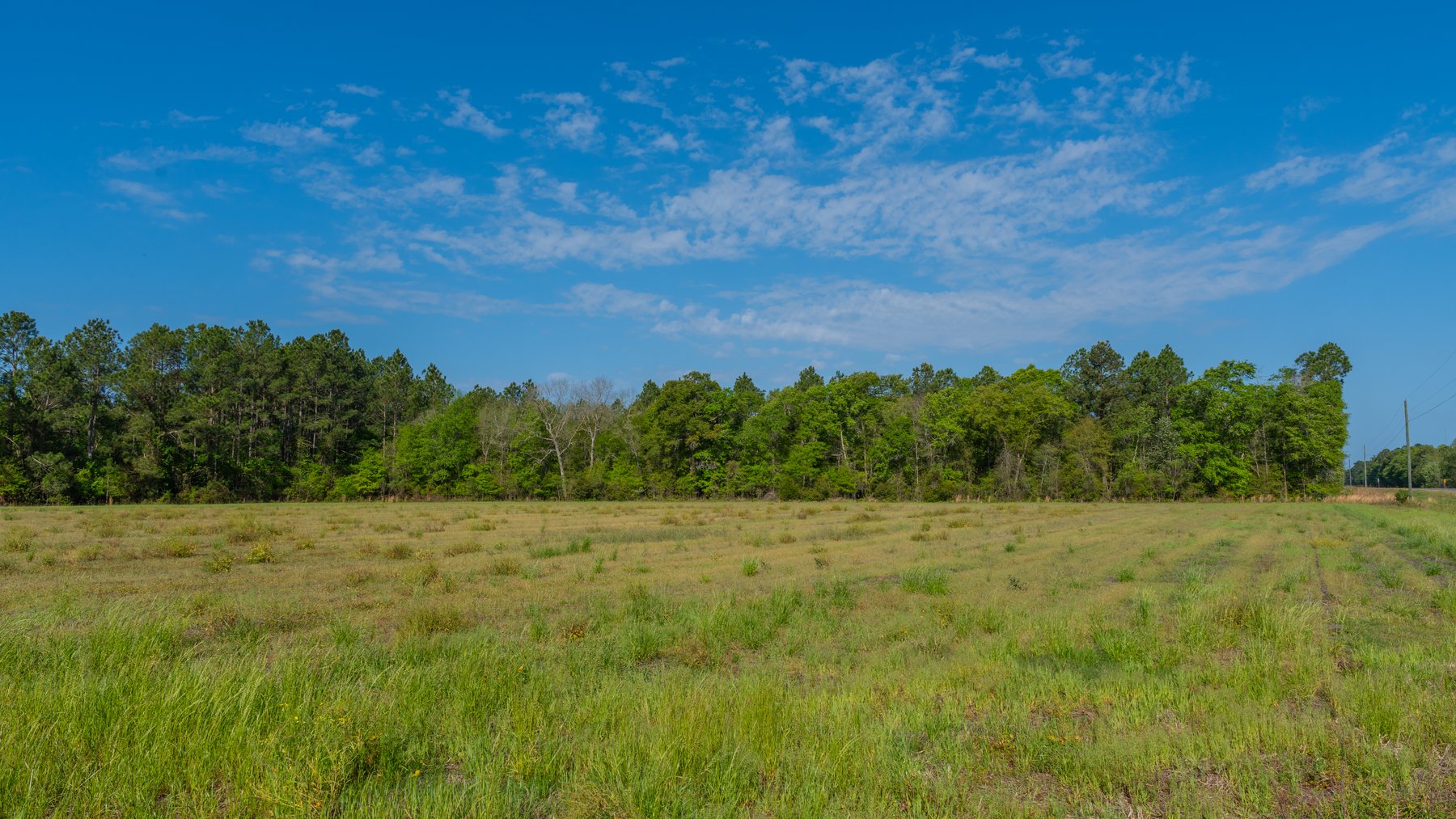 Image for Reynolds Tract - Tison Estate - 92.37± Total Acres - Premium Row Crop Farmland - Mixed Hardwoods - Located in Big Buck Country
