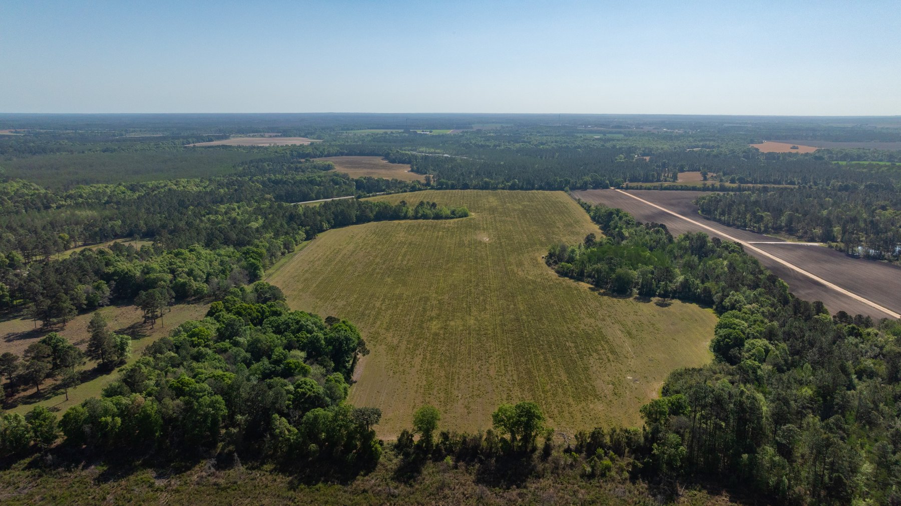 Image for Reynolds Tract - Tison Estate - 92.37± Total Acres - Premium Row Crop Farmland - Mixed Hardwoods - Located in Big Buck Country
