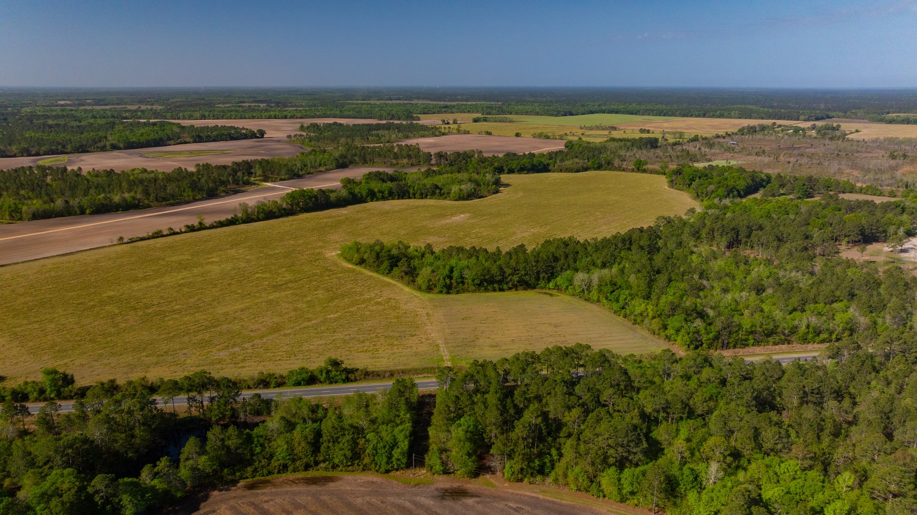 Image for Reynolds Tract - Tison Estate - 92.37± Total Acres - Premium Row Crop Farmland - Mixed Hardwoods - Located in Big Buck Country