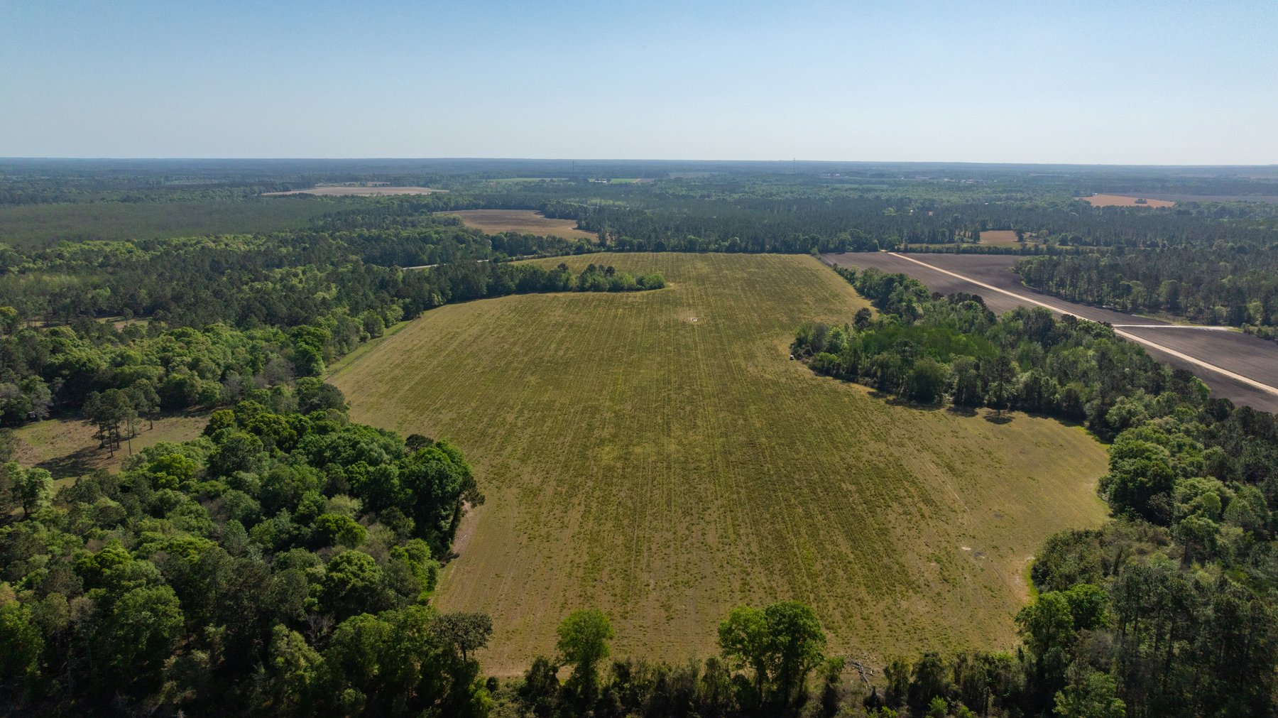 Image for Reynolds Tract - Tison Estate - 92.37± Total Acres - Premium Row Crop Farmland - Mixed Hardwoods - Located in Big Buck Country