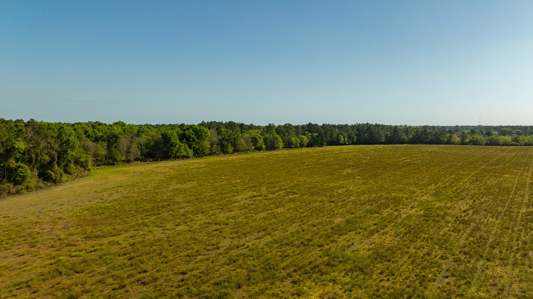Image for Reynolds Tract - Tison Estate - 92.37± Total Acres - Premium Row Crop Farmland - Mixed Hardwoods - Located in Big Buck Country