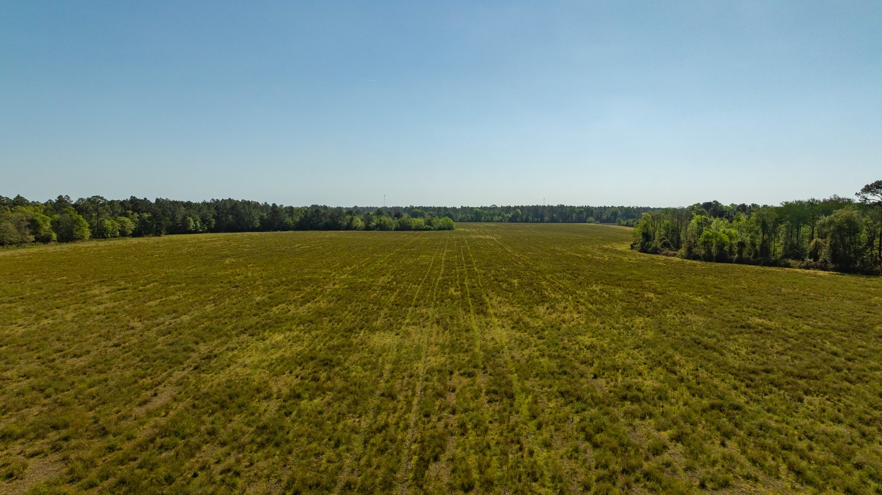 Image for Reynolds Tract - Tison Estate - 92.37± Total Acres - Premium Row Crop Farmland - Mixed Hardwoods - Located in Big Buck Country