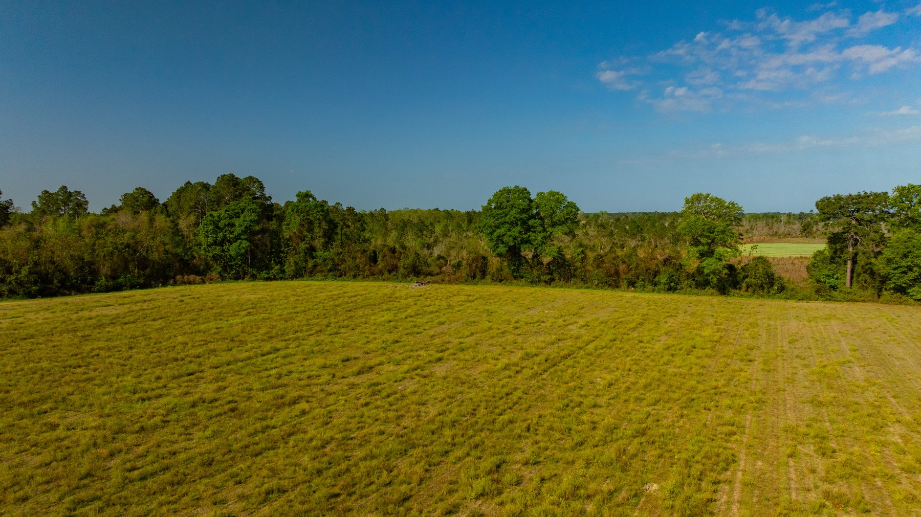 Image for Reynolds Tract - Tison Estate - 92.37± Total Acres - Premium Row Crop Farmland - Mixed Hardwoods - Located in Big Buck Country
