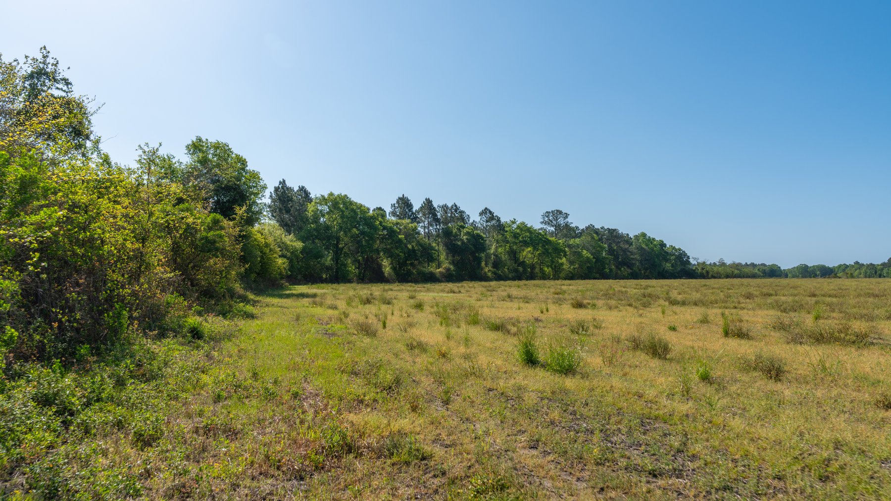 Image for Reynolds Tract - Tison Estate - 92.37± Total Acres - Premium Row Crop Farmland - Mixed Hardwoods - Located in Big Buck Country