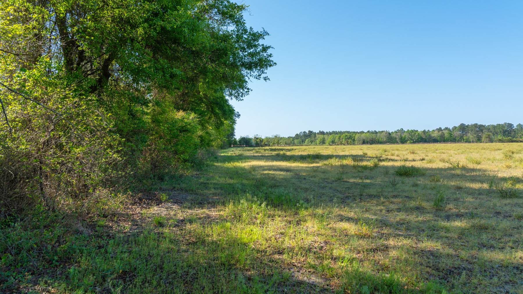 Image for Reynolds Tract - Tison Estate - 92.37± Total Acres - Premium Row Crop Farmland - Mixed Hardwoods - Located in Big Buck Country