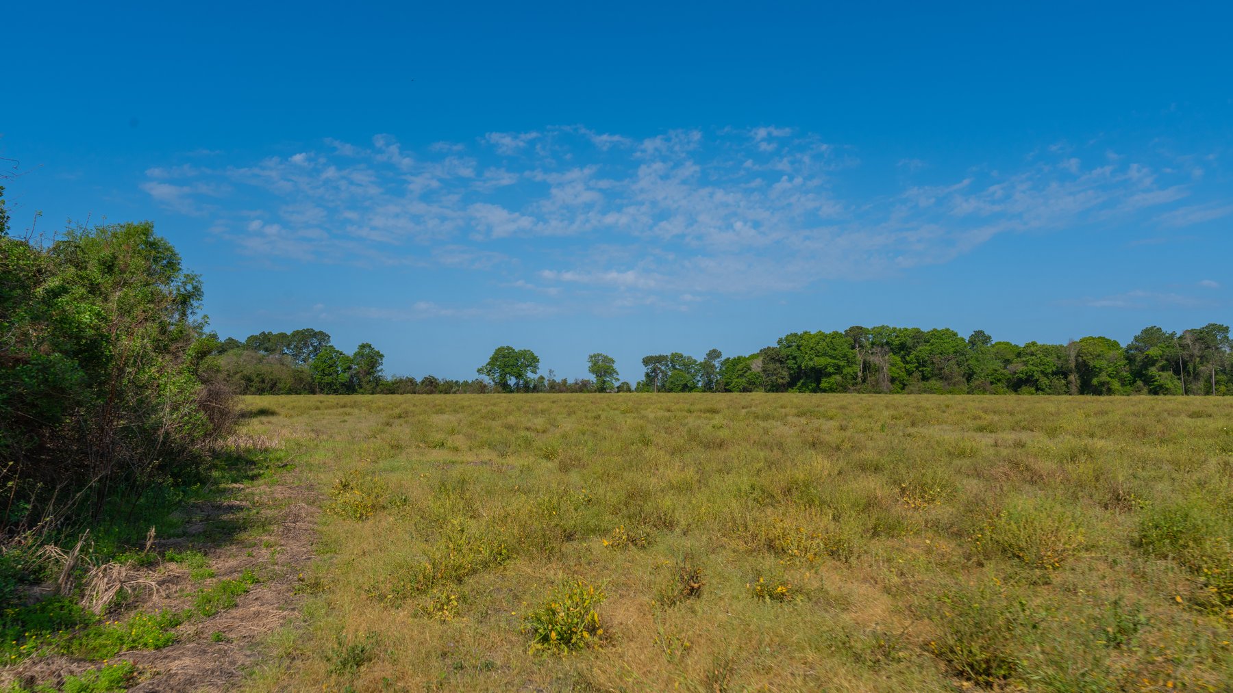 Image for Reynolds Tract - Tison Estate - 92.37± Total Acres - Premium Row Crop Farmland - Mixed Hardwoods - Located in Big Buck Country