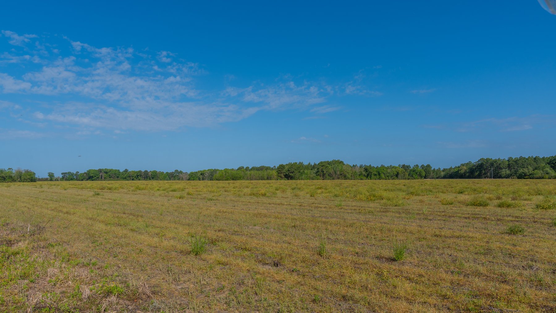 Image for Reynolds Tract - Tison Estate - 92.37± Total Acres - Premium Row Crop Farmland - Mixed Hardwoods - Located in Big Buck Country