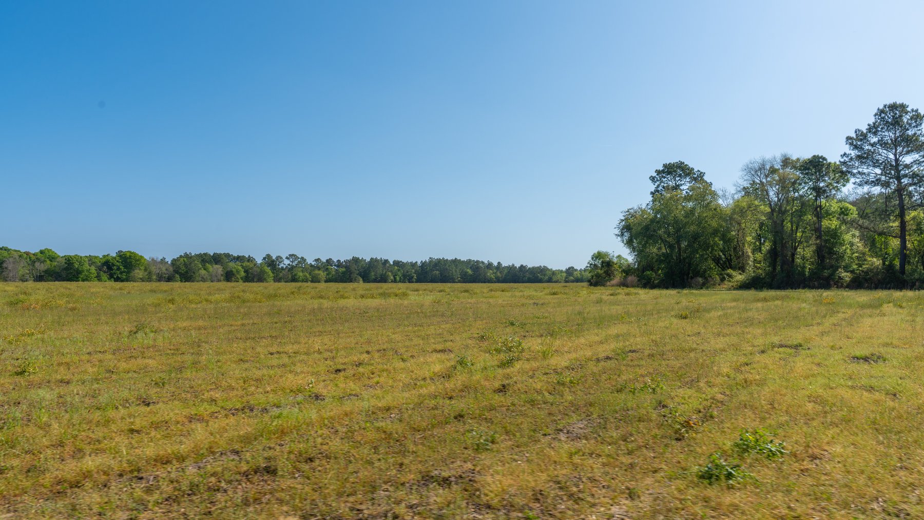 Image for Reynolds Tract - Tison Estate - 92.37± Total Acres - Premium Row Crop Farmland - Mixed Hardwoods - Located in Big Buck Country