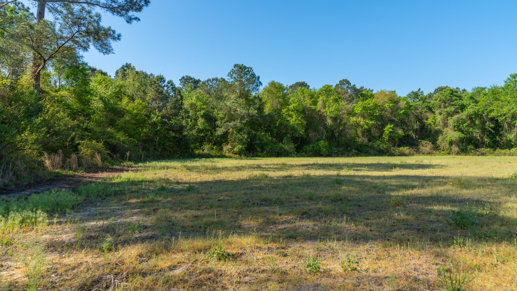 Image for Reynolds Tract - Tison Estate - 92.37± Total Acres - Premium Row Crop Farmland - Mixed Hardwoods - Located in Big Buck Country