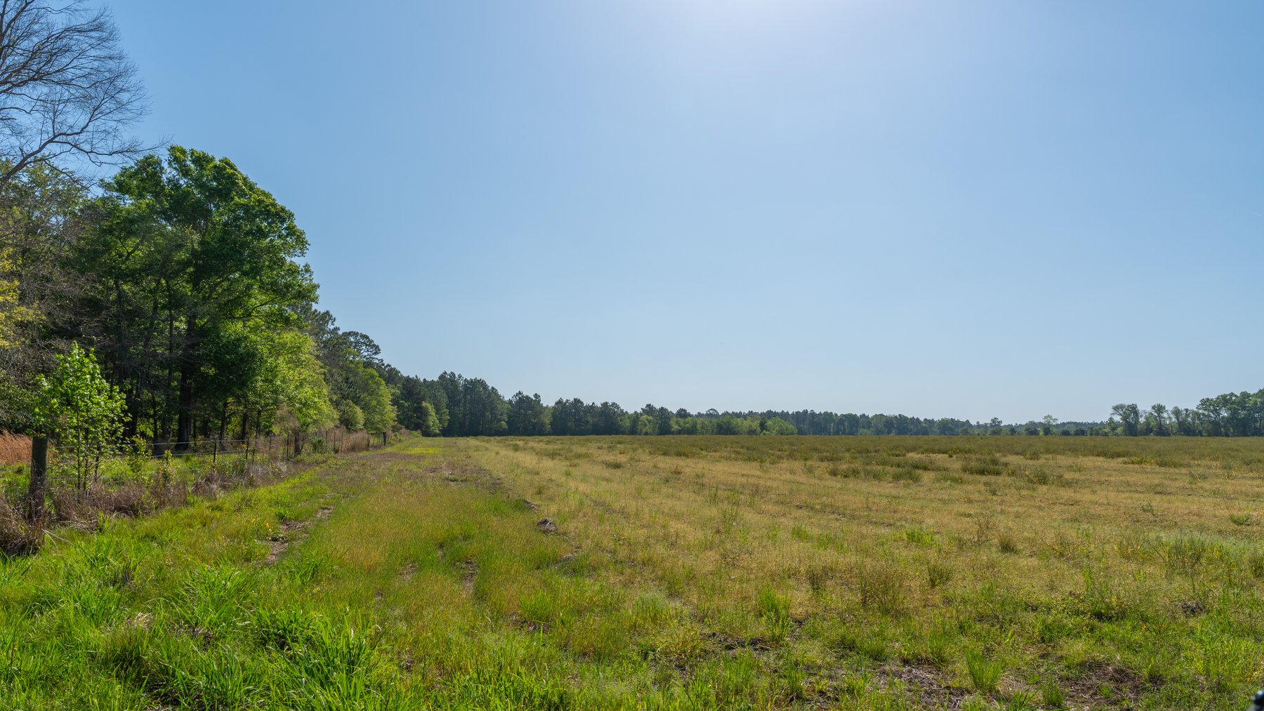 Image for Reynolds Tract - Tison Estate - 92.37± Total Acres - Premium Row Crop Farmland - Mixed Hardwoods - Located in Big Buck Country