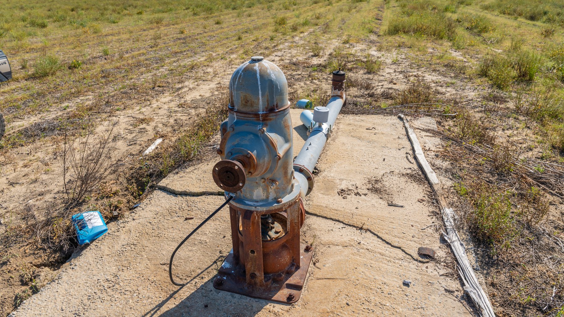 Image for Reynolds Tract - Tison Estate - 92.37± Total Acres - Premium Row Crop Farmland - Mixed Hardwoods - Located in Big Buck Country