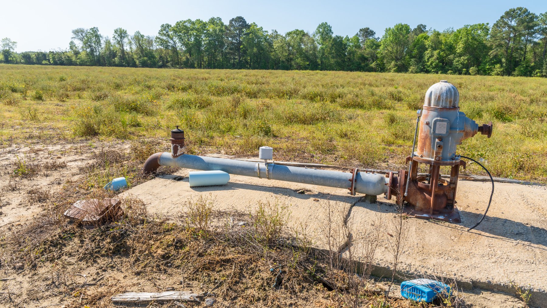 Image for Reynolds Tract - Tison Estate - 92.37± Total Acres - Premium Row Crop Farmland - Mixed Hardwoods - Located in Big Buck Country