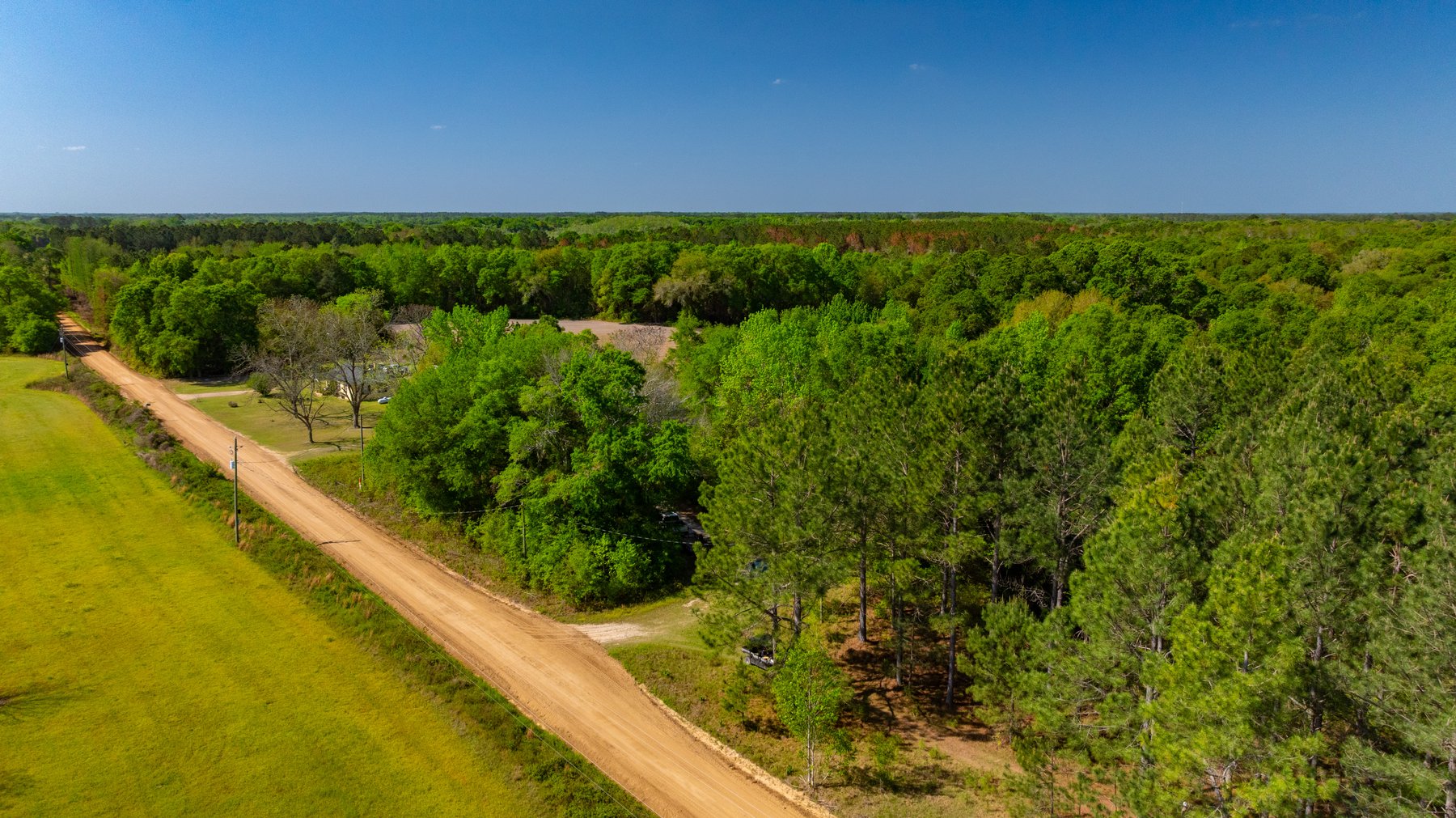 Image for Bells Tract - Tison Estate - 10.5± Total Acres - Excellent Homesite - Located in Big Buck Country - Crop Land & Mixed Hardwoods