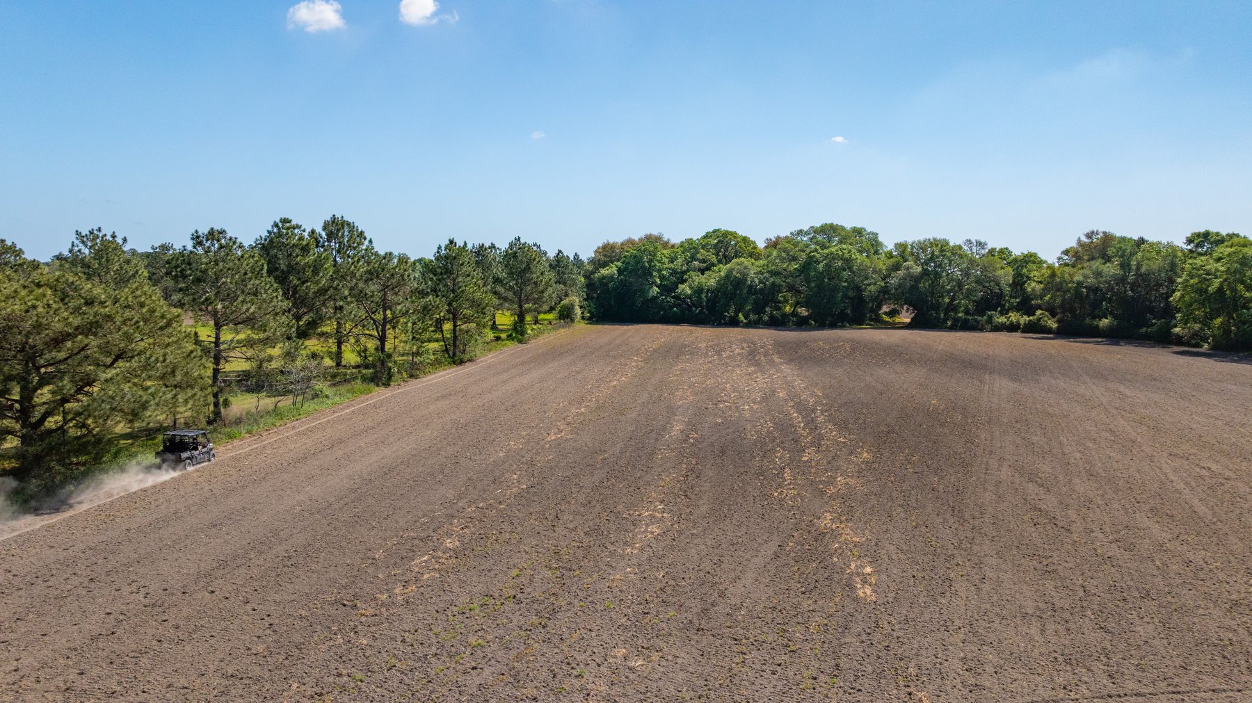 Image for Bells Tract - Tison Estate - 10.5± Total Acres - Excellent Homesite - Located in Big Buck Country - Crop Land & Mixed Hardwoods