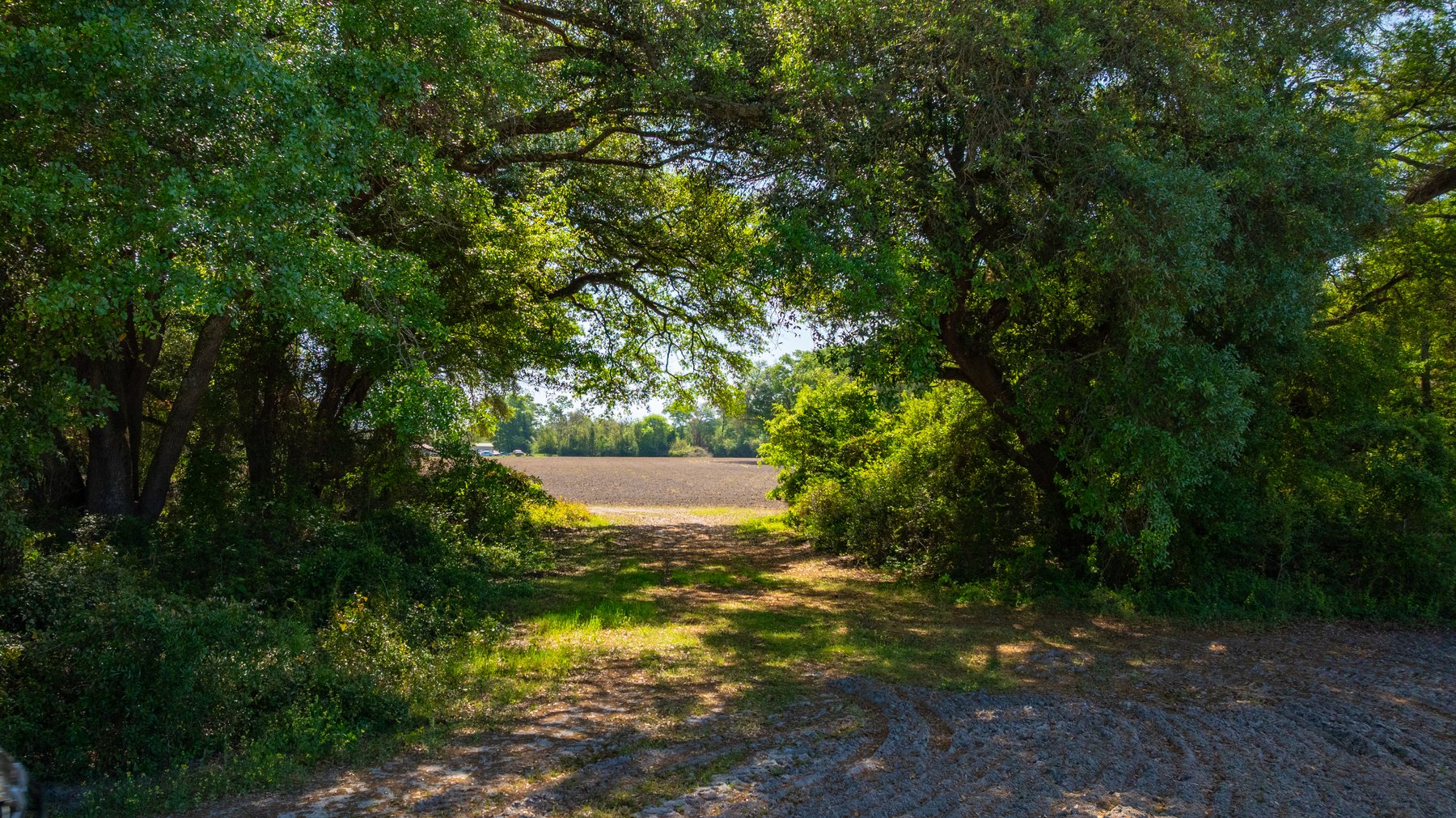 Image for Bells Tract - Tison Estate - 10.5± Total Acres - Excellent Homesite - Located in Big Buck Country - Crop Land & Mixed Hardwoods