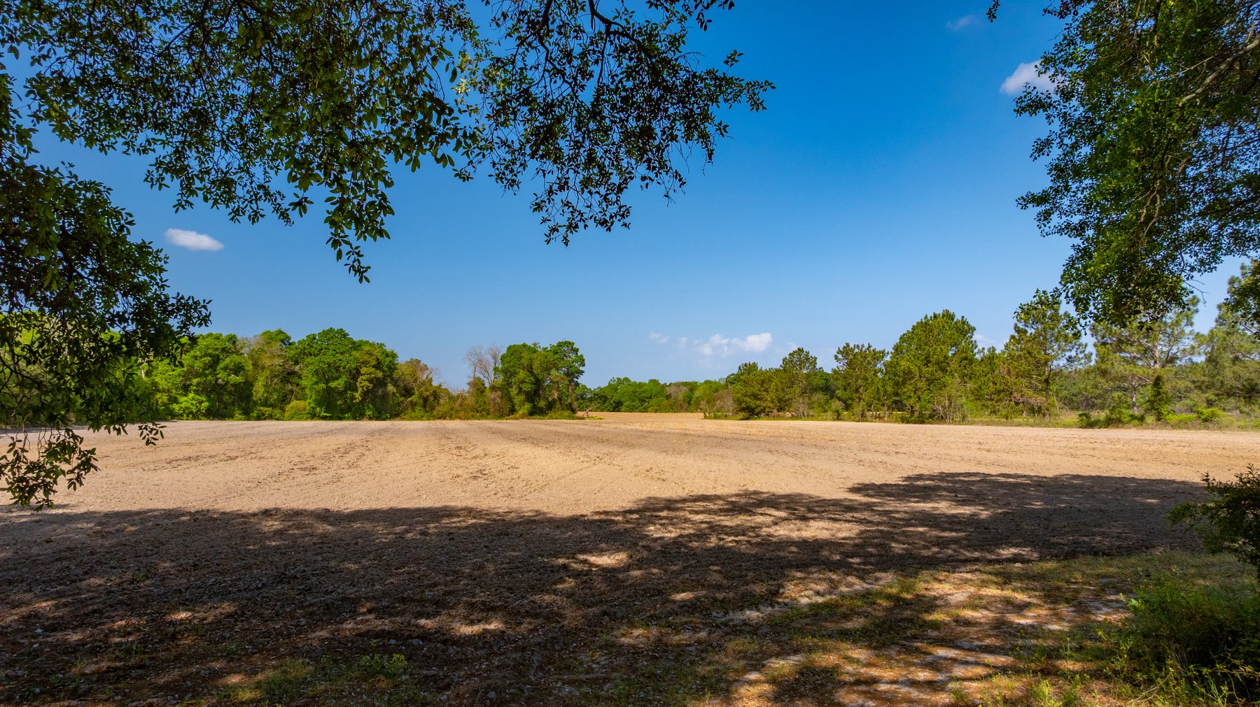 Image for Bells Tract - Tison Estate - 10.5± Total Acres - Excellent Homesite - Located in Big Buck Country - Crop Land & Mixed Hardwoods