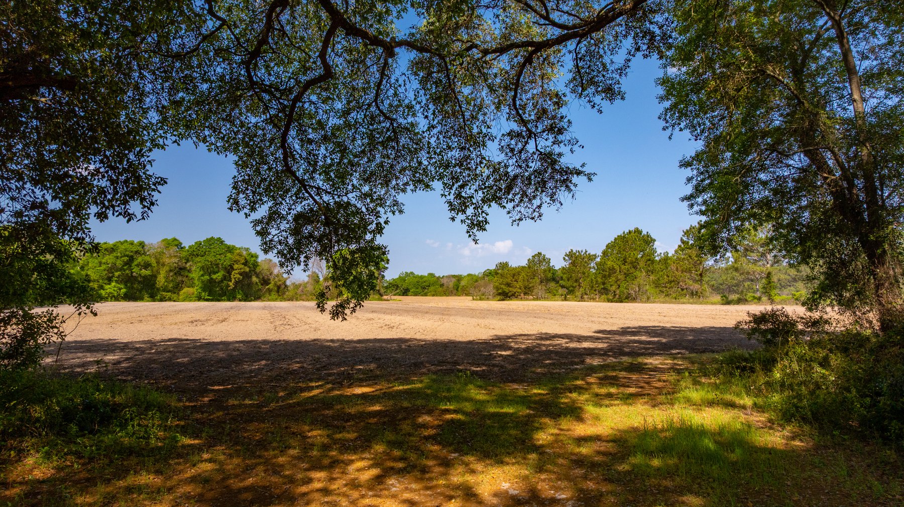 Image for Bells Tract - Tison Estate - 10.5± Total Acres - Excellent Homesite - Located in Big Buck Country - Crop Land & Mixed Hardwoods