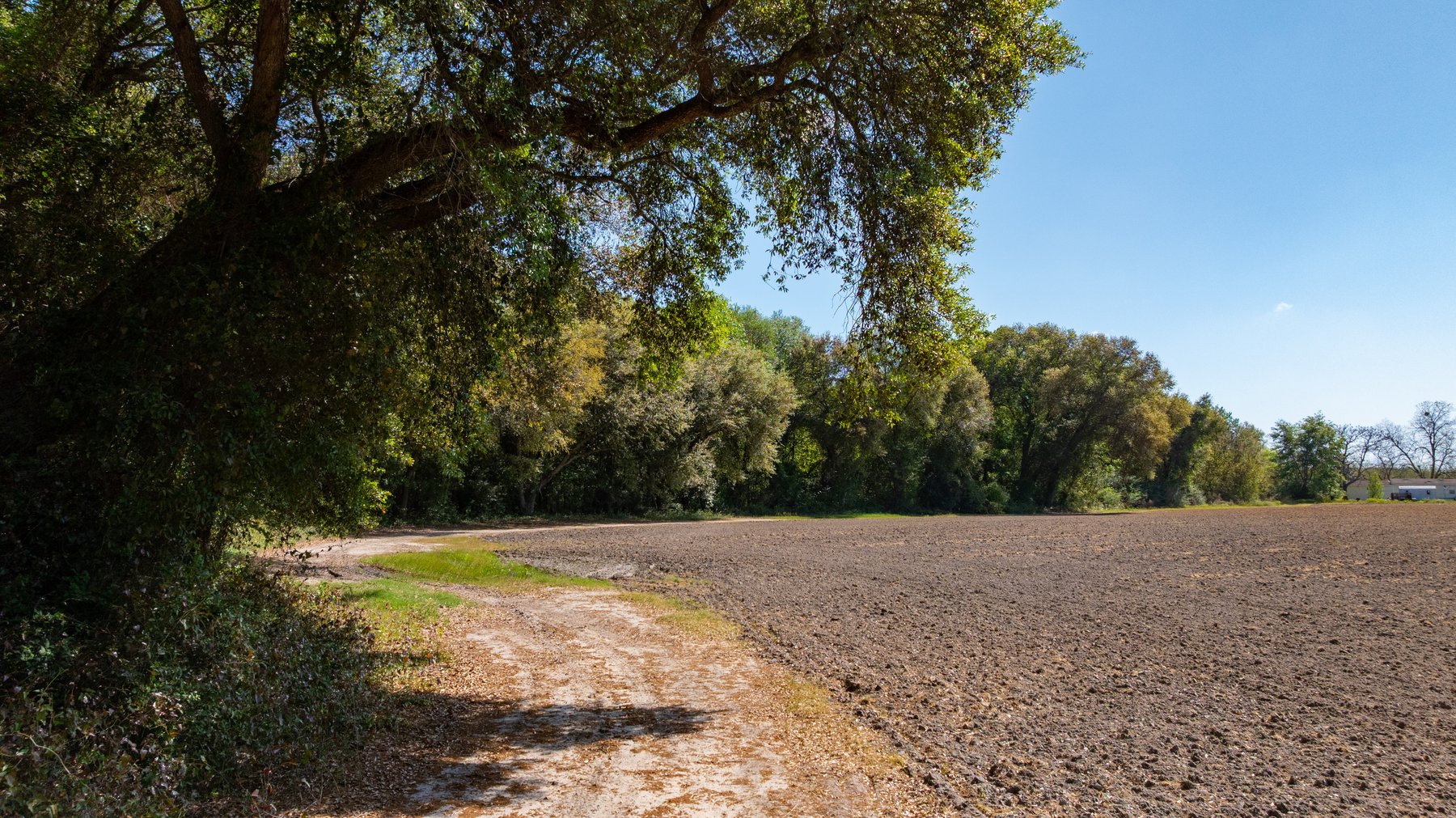 Image for Bells Tract - Tison Estate - 10.5± Total Acres - Excellent Homesite - Located in Big Buck Country - Crop Land & Mixed Hardwoods