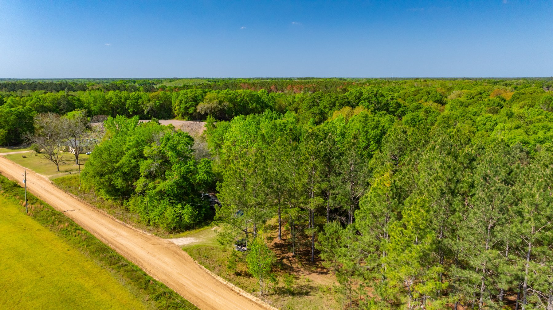 Image for Bells Tract - Tison Estate - 10.5± Total Acres - Excellent Homesite - Located in Big Buck Country - Crop Land & Mixed Hardwoods