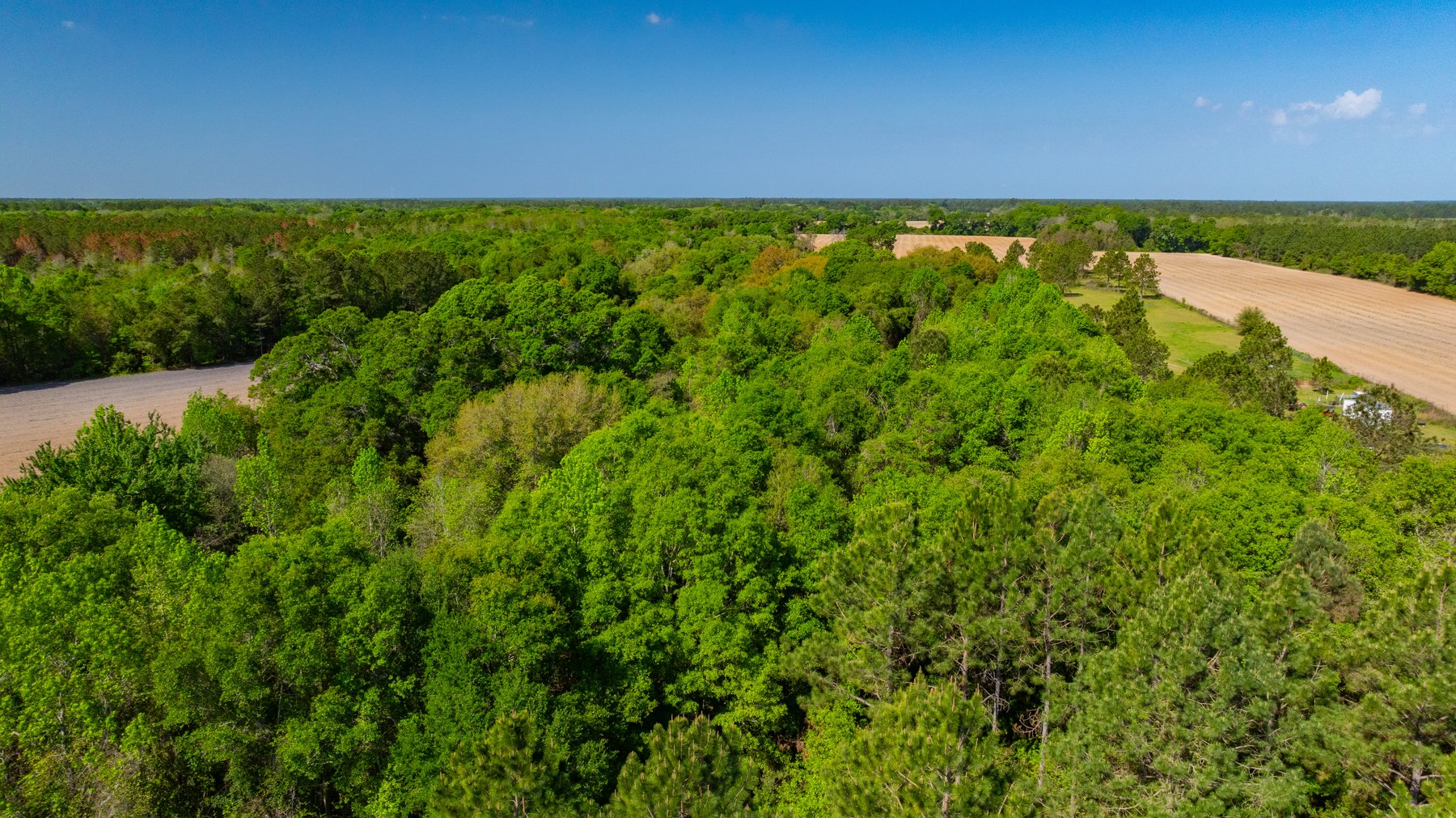Image for Bells Tract - Tison Estate - 10.5± Total Acres - Excellent Homesite - Located in Big Buck Country - Crop Land & Mixed Hardwoods